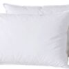 Lot 2 oreillers Coton et Plumes de canard Blanc 50 x 70 cm