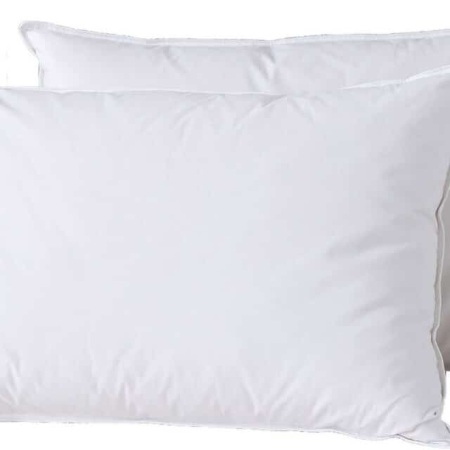 Lot 2 oreillers Coton et Plumes de canard Blanc 50 x 70 cm